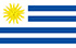 Pesquisa de Painel Rápido TGM no Uruguai